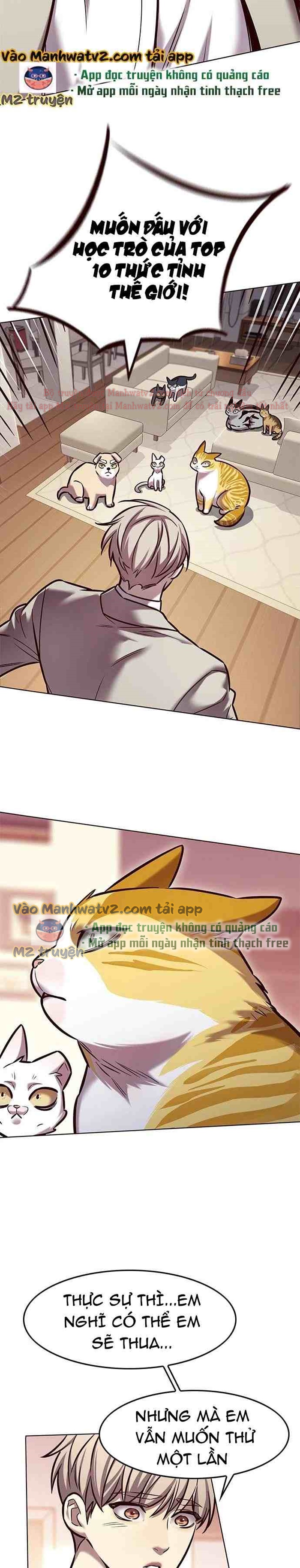 Đọc truyện Hóa thân thành mèo (Bản Free) - Chap 282